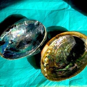 Abalone shell for smudging or as an accent!